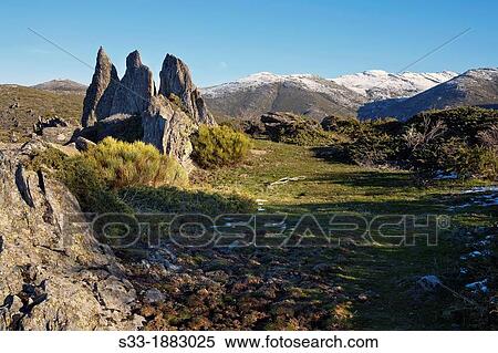 Sierra Norte from Loma Mediana El Cardoso de la Sierra Guadalajara Castilla la Mancha Spain View Large Photo Image Stock Photography - Sierra Norte from Loma Mediana El Cardoso de la Sierra Guadalajara Castilla la Mancha Spain. Fotosearch