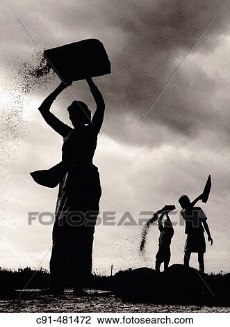 Sifting rice. India View Large Photo Image Stock Image - Sifting rice. India. Fotosearch