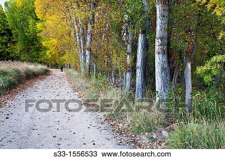 Sig? enza road in Aragosa Guadalajara Castilla la Mancha Spain View Large Photo Image Stock Image - Sig? enza road in Aragosa Guadalajara Castilla la Mancha Spain. Fotosearch