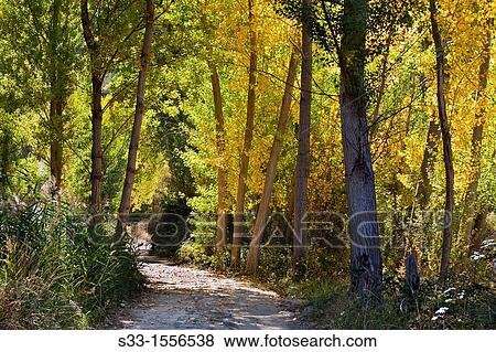 Sig? enza road in Aragosa Guadalajara Castilla la Mancha Spain View Large Photo Image Stock Photo - Sig? enza road in Aragosa Guadalajara Castilla la Mancha Spain. Fotosearch