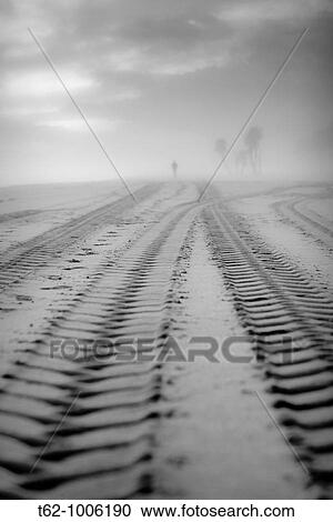 Silhouette in the fog on the beach View Large Photo Image Stock Image - Silhouette in the fog on the beach. Fotosearch