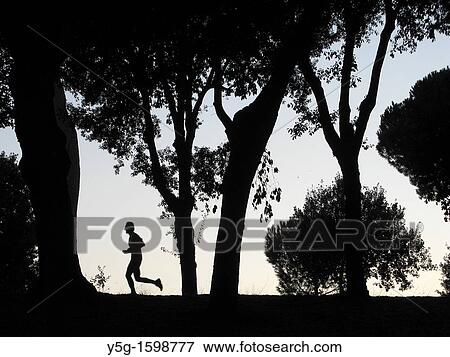 Stock Photo - silhouette lonely runner in woods at dusk. Fotosearch