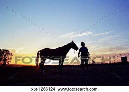 Silhouette of a man and his horse at sunset View Large Photo Image Picture - Silhouette of a man and his horse at sunset. Fotosearch