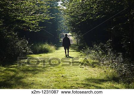 Silhouette of a man walking down path at Bretzfelder Memorial Park in Bethlehem, New Hampshire View Large Photo Image Stock Photo - Silhouette of a man walking down path at Bretzfelder Memorial Park in Bethlehem, New Hampshire. Fotosearch