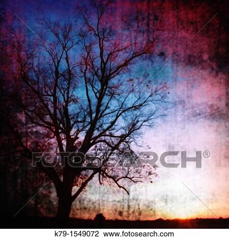 Silhouette of baren tree at sunset View Large Photo Image Stock Image - Silhouette of baren tree at sunset. Fotosearch