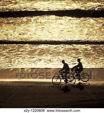 Silhouette of couple biking along the beach, Cape Cod View Large Photo Image Stock Photograph - Silhouette of couple biking along the beach, Cape Cod. Fotosearch