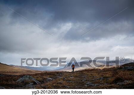 Silhouette of female hiker looking north in Alisvagge along Kungsleden trail, Lappland, Sweden. View Large Photo Image Stock Photograph - Silhouette of female hiker looking north in Alisvagge along Kungsleden trail, Lappland, Sweden.. Fotosearch