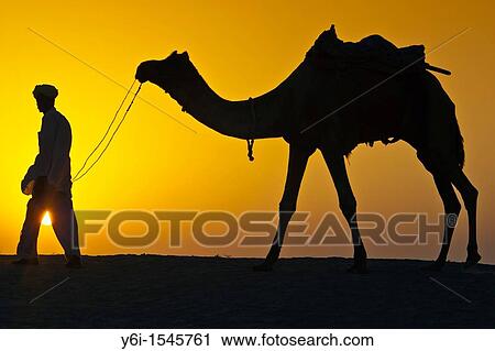 Stock Image - Silhouette of man and camel sunrise Thar Desert near Khuri Rajasthan India. Fotosearch