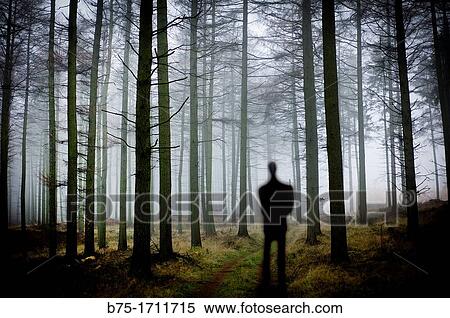 Silhouette of man in the forest View Large Photo Image Stock Photography - Silhouette of man in the forest. Fotosearch