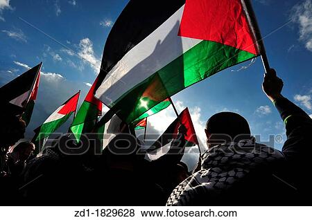 Silhouette of Palestinian men waving Palestinian flag View Large Photo Image Stock Photo - Silhouette of Palestinian men waving Palestinian flag. Fotosearch