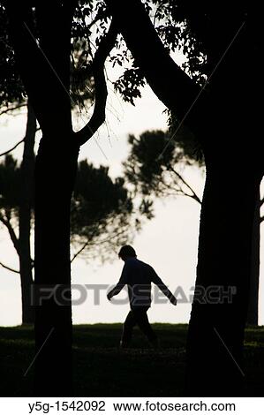 silhouette of person walking through woods in evening View Large Photo Image Stock Image - silhouette of person walking through woods in evening. Fotosearch