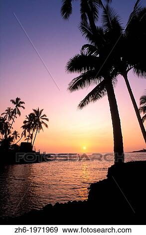 Silhouetted palms and heiau at sunset, Pu? uhonua O Honaunau National Historic Park (City of Refuge), Kona Coast, The Big Island, Hawaii USA. View Large Photo Image Stock Photo - Silhouetted palms and heiau at sunset, Pu? uhonua O Honaunau National Historic Park (City of Refuge), Kona Coast, The Big Island, Hawaii USA.. Fotosearch