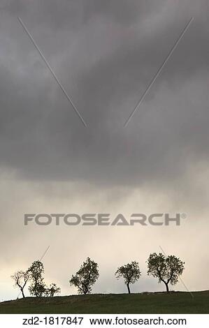 Silhouetted trees on a cultivated fields with dark storm clouds Lleida Catalonia Spain View Large Photo Image Stock Photo - Silhouetted trees on a cultivated fields with dark storm clouds Lleida Catalonia Spain. Fotosearch