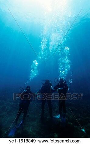 Silhouettes of three scuba divers in the blue waterswith bubbles, Marseille, France View Large Photo Image Stock Photo - Silhouettes of three scuba divers in the blue waterswith bubbles, Marseille, France. Fotosearch