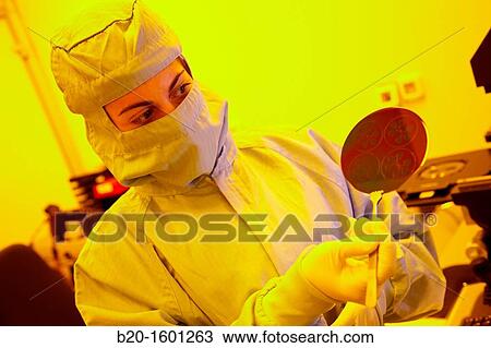 Stock Image - Silicon wafer, Automated Mask alignment system, photolithography processes, cleanroom, Microelectronics and Microsystems Unit, CEIT(Center of Studies and Technical Research), University of Navarra, Donostia, Gipuzkoa, Basque Country, Spain. Fotosearch