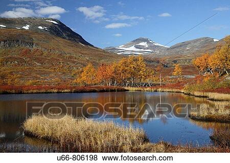 Stock Photo - Silverv? gen, Lapland, Sweden. Fotosearch