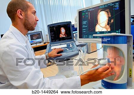 Simulation of 3D ultrasound, Health and Biomedical applications, Vicomtech-IK4 Visual Interaction and Communication Technologies Centre View Large Photo Image Picture - Simulation of 3D ultrasound, Health and Biomedical applications, Vicomtech-IK4 Visual Interaction and Communication Technologies Centre. Fotosearch