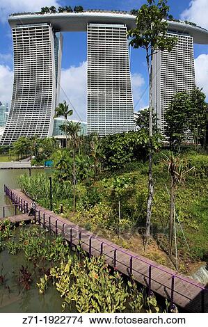 Singapore, Gardens by the Bay, Marina Bay Sands Resort, View Large Photo Image Picture - Singapore, Gardens by the Bay, Marina Bay Sands Resort,. Fotosearch