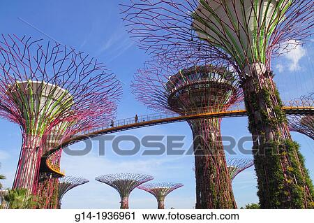 Singapore, Gardens by the Bay, park, Supertrees, elevated walkway, View Large Photo Image Stock Image - Singapore, Gardens by the Bay, park, Supertrees, elevated walkway,. Fotosearch