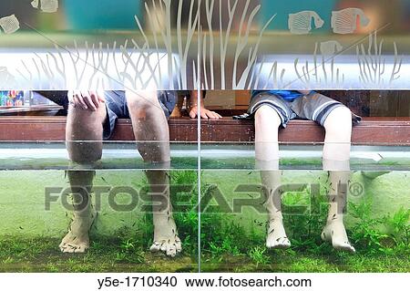 Singapore, Marina Bay Sands Shopping Mall, Dead skin eating fish in Spa View Large Photo Image Stock Image - Singapore, Marina Bay Sands Shopping Mall, Dead skin eating fish in Spa. Fotosearch