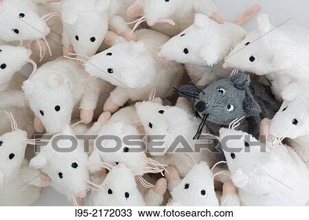 Stock Image - Single black mouse integrated in a group of human-like white mice.. Fotosearch