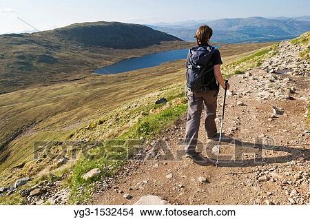 Picture - Single female hiker hikes? normal route? trail towards summit of Ben Nevis, Britains highest mountain, Lochaber, Scotland. Fotosearch