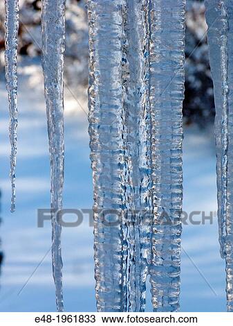 Stock Image - SINGLE LARGE ICICLE SNOW ICE BACKGROUND.. Fotosearch