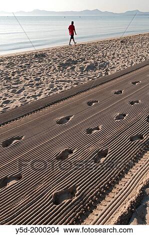 single man walking on the beach, footprints in sand in front, Playa Muro, Mallorca, Majorca, Balearic Islands, Spain, Europe View Large Photo Image Picture - single man walking on the beach, footprints in sand in front, Playa Muro, Mallorca, Majorca, Balearic Islands, Spain, Europe. Fotosearch