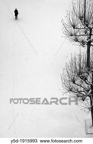 single woman walking in snow next to leafless plane trees, leaving footprints in the snow, wintertime, Geneva, Switzerland View Large Photo Image Stock Image - single woman walking in snow next to leafless plane trees, leaving footprints in the snow, wintertime, Geneva, Switzerland. Fotosearch