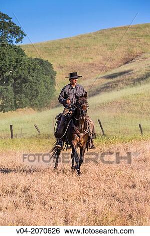 Single wrangler (cowboy) on horse, California, USA View Large Photo Image Stock Photograph - Single wrangler (cowboy) on horse, California, USA. Fotosearch