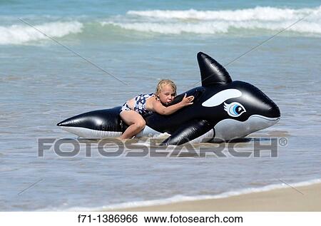 Six year old girl at the beach playing in the surf on inflatable Orca Mimiwhangata Northland, New Zealand View Large Photo Image Stock Photograph - Six year old girl at the beach playing in the surf on inflatable Orca Mimiwhangata Northland, New Zealand. Fotosearch
