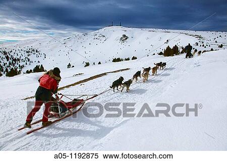 Stock Photography - Ski resort of Port Aine. Pirena. Sled dog race in the Pyrenees going through Spain, Andorra and France. Catalan Pyrenees. Rialp. Pallars Sobira. Lleida-provincia. Catalonia. Spain.. Fotosearch