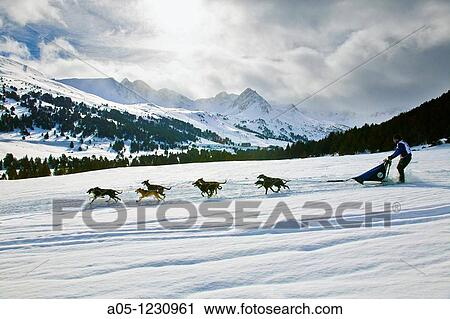 Stock Image - Ski Station Grand Valira Grau Roig Encamp Province Andorra Pirena Sled dog race in the Pyrenees going through Spain, Andorra and France.. Fotosearch