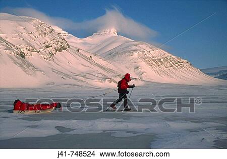 Ski tourer hauling sledge on spring traverse Ny Alesund to Longyearbyen Spitsbergen Island Svalbard Norwegian Arctic View Large Photo Image Picture - Ski tourer hauling sledge on spring traverse Ny Alesund to Longyearbyen Spitsbergen Island Svalbard Norwegian Arctic. Fotosearch