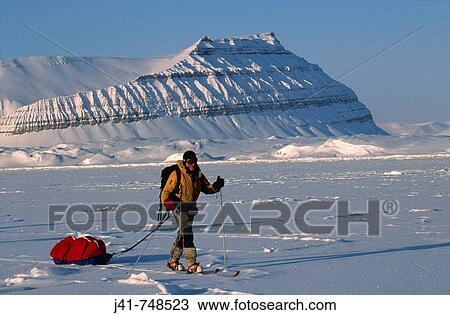 Ski tourer hauling sledge on spring traverse Ny Alesund to Longyearbyen Spitsbergen Island Svalbard Norwegian Arctic View Large Photo Image Stock Image - Ski tourer hauling sledge on spring traverse Ny Alesund to Longyearbyen Spitsbergen Island Svalbard Norwegian Arctic. Fotosearch