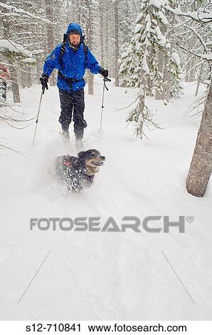 Skier and dog in the Wallowas - Wallawa Mtns, Oregon View Large Photo Image Stock Image - Skier and dog in the Wallowas - Wallawa Mtns, Oregon. Fotosearch