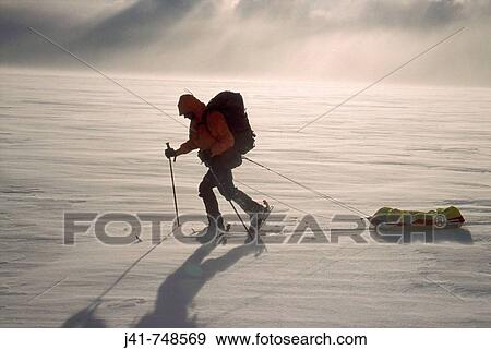 Skier pulling sled South Patagonian icecap Los Glaciares National Park Patagonia View Large Photo Image Stock Photo - Skier pulling sled South Patagonian icecap Los Glaciares National Park Patagonia. Fotosearch