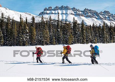 skiers in winter in Banff National Park, Alberta, Canada. View Large Photo Image Picture - skiers in winter in Banff National Park, Alberta, Canada.. Fotosearch