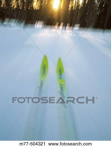 Skiing, forest, snow, winter, cold, motion, ski. S? len. Dalana. Sweden. View Large Photo Image Stock Image - Skiing, forest, snow, winter, cold, motion, ski. S? len. Dalana. Sweden.. Fotosearch