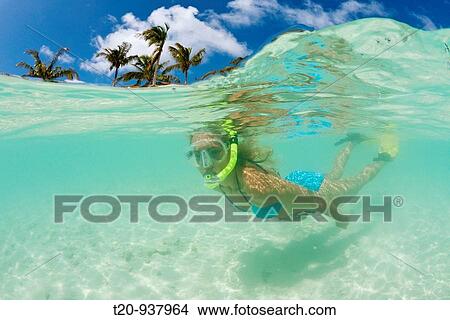 Skin diving at Maldives, South Male Atoll, Maldives View Large Photo Image Picture - Skin diving at Maldives, South Male Atoll, Maldives. Fotosearch