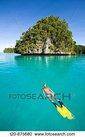 Skin Diving at Palau, Micronesia, Palau View Large Photo Image Stock Image - Skin Diving at Palau, Micronesia, Palau. Fotosearch