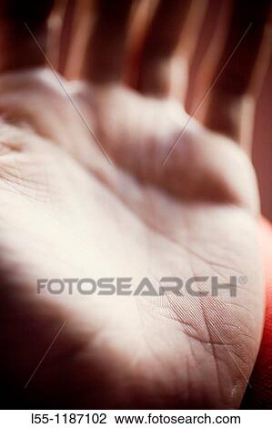 Skin View Large Photo Image Stock Image - Skin. Fotosearch