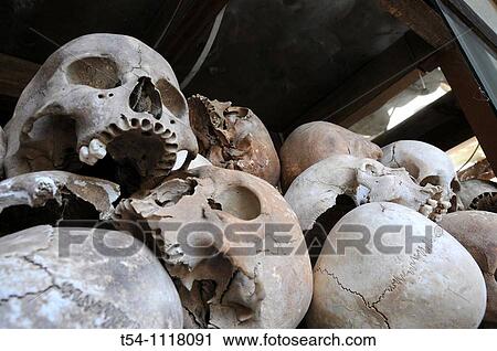 Skulls at Killing Fields, Choung Ek View Large Photo Image Stock Image - Skulls at Killing Fields, Choung Ek. Fotosearch
