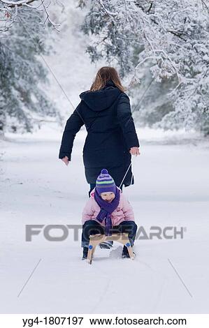 Sled pulling in the snow, family fun View Large Photo Image Stock Photo - Sled pulling in the snow, family fun. Fotosearch