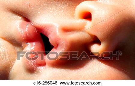 sleeping baby View Large Photo Image Stock Photograph - sleeping baby. Fotosearch