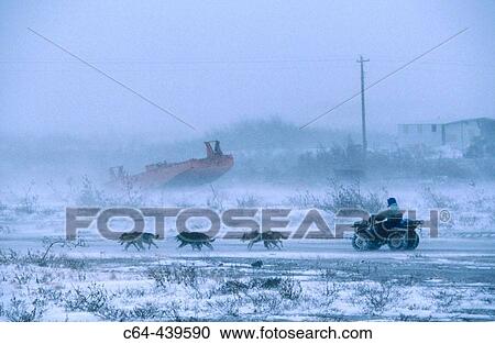 Sleigh. Nome. Seward peninsula. Alaska. USA View Large Photo Image Stock Image - Sleigh. Nome. Seward peninsula. Alaska. USA. Fotosearch