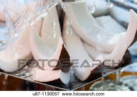 Stock Photo - Slice a Coconut. Fotosearch