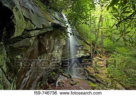 Slick Rock Falls, Pisgah National Forest, Western NC, USA View Large Photo Image Stock Photograph - Slick Rock Falls, Pisgah National Forest, Western NC, USA. Fotosearch