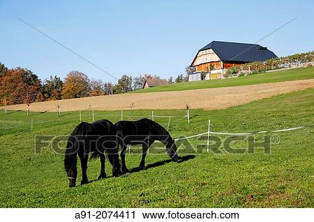Slovenia Pule Resort Luxury Charm Hotel Of Cabins Located On Top