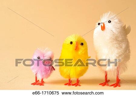 small chicks used as Easter basket decoration View Large Photo Image Stock Photography - small chicks used as Easter basket decoration. Fotosearch